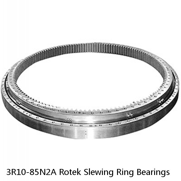 3R10-85N2A Rotek Slewing Ring Bearings