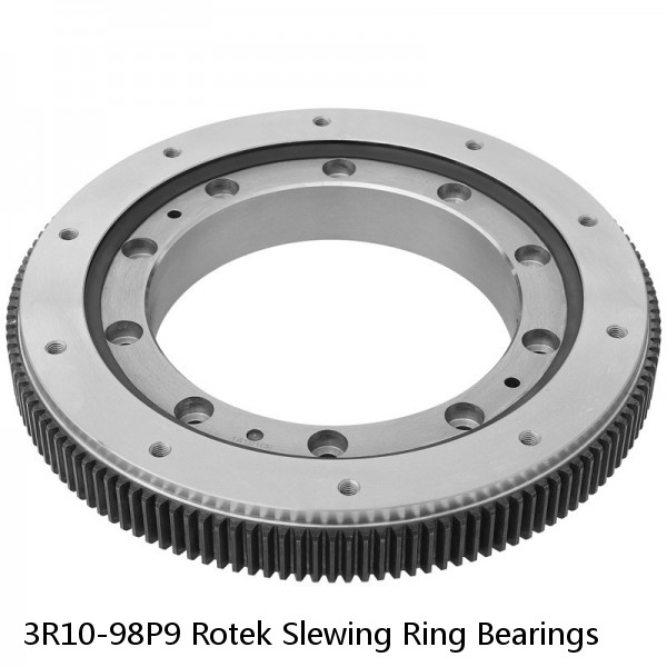 3R10-98P9 Rotek Slewing Ring Bearings