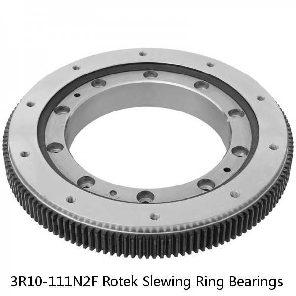 3R10-111N2F Rotek Slewing Ring Bearings