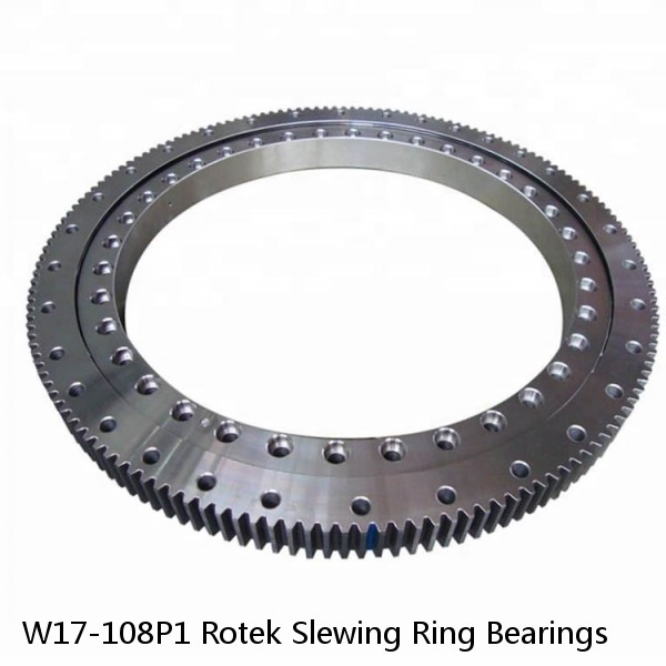 W17-108P1 Rotek Slewing Ring Bearings