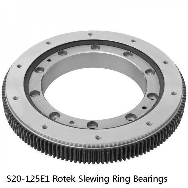 S20-125E1 Rotek Slewing Ring Bearings