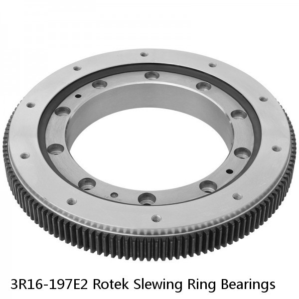 3R16-197E2 Rotek Slewing Ring Bearings