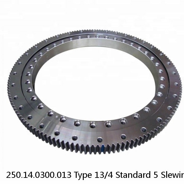 250.14.0300.013 Type 13/4 Standard 5 Slewing Ring Bearings