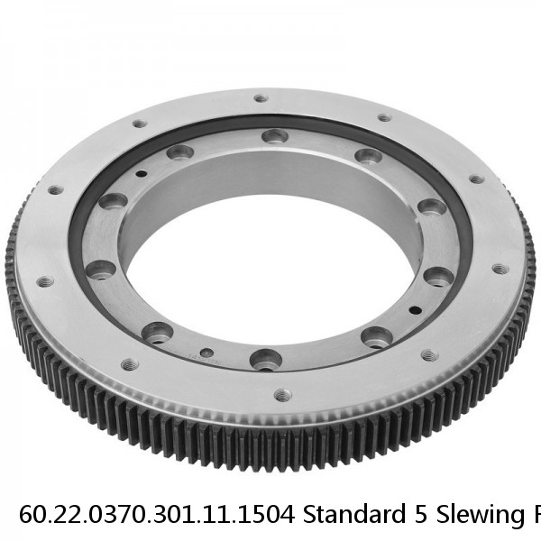 60.22.0370.301.11.1504 Standard 5 Slewing Ring Bearings