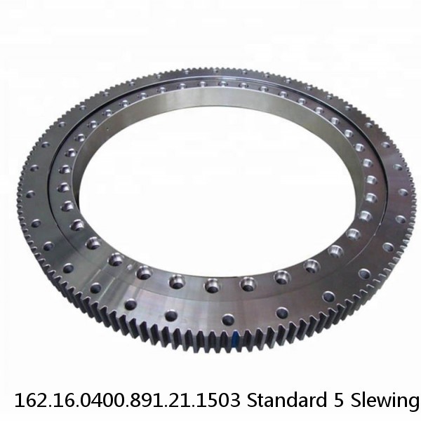 162.16.0400.891.21.1503 Standard 5 Slewing Ring Bearings