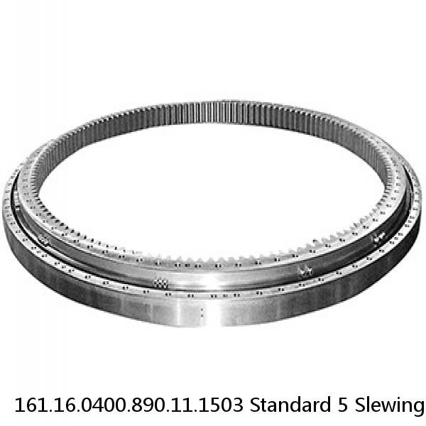 161.16.0400.890.11.1503 Standard 5 Slewing Ring Bearings