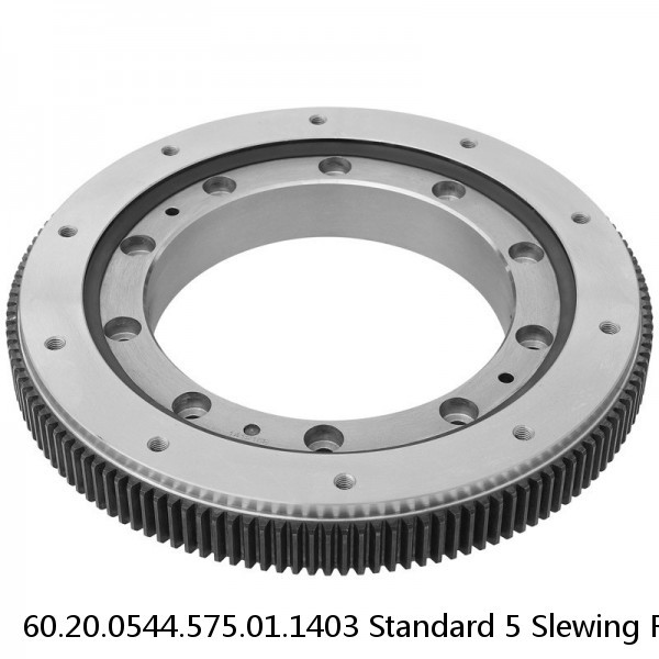 60.20.0544.575.01.1403 Standard 5 Slewing Ring Bearings