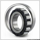 70 mm x 100 mm x 30 mm  INA SL014914 Cylindrical Roller Bearings