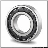 NSK NU1028MC3 BEARING,CYLINDRICAL ROLLER Cylindrical Roller Bearings